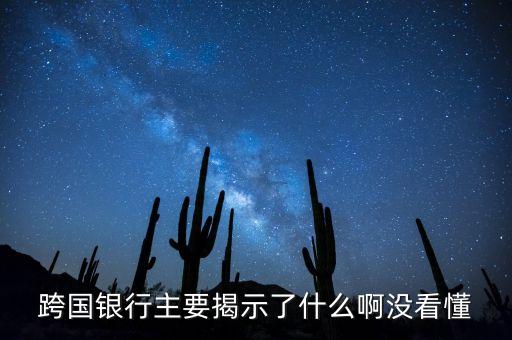 跨國銀行主要揭示了什么啊沒看懂