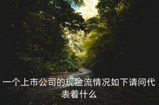 一個(gè)上市公司的現(xiàn)金流情況如下請(qǐng)問(wèn)代表著什么