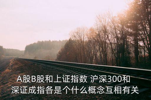 A股B股和上證指數(shù) 滬深300和 深證成指各是個什么概念互相有關(guān)