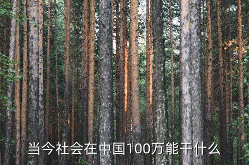 當(dāng)今社會在中國100萬能干什么