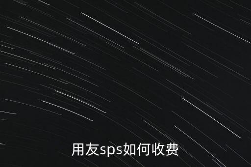 用友sps費用是什么，供應用友廠商sps服務是怎么收費的大連