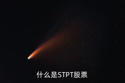 nek是什么股票，ST股票是指的什么股票