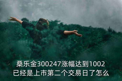 桑樂金300247漲幅達到1002已經(jīng)是上市第二個交易日了怎么