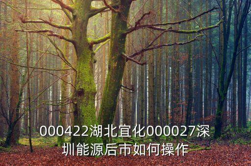 000027之前名什么，000422湖北宜化000027深圳能源后市如何操作