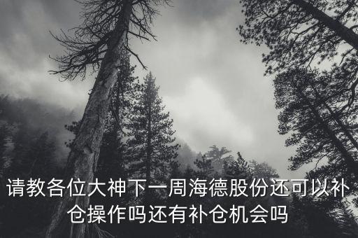 請(qǐng)教各位大神下一周海德股份還可以補(bǔ)倉(cāng)操作嗎還有補(bǔ)倉(cāng)機(jī)會(huì)嗎