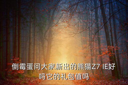 倒霉蛋問(wèn)大家新出的熊貓Z7 IE好嗎它的禮包值嗎