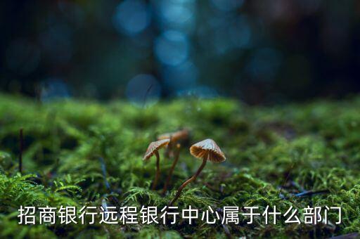 招商銀行遠(yuǎn)程銀行中心屬于什么部門