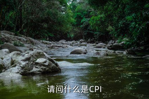 請問什么是CPI