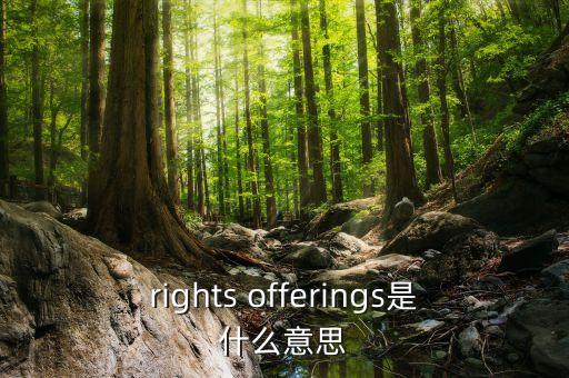 rights offerings是什么意思