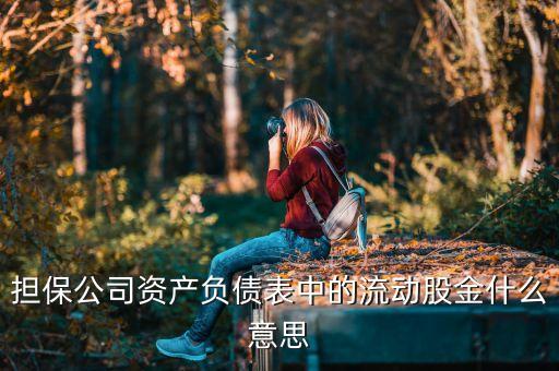 擔(dān)保公司資產(chǎn)負(fù)債表中的流動股金什么意思