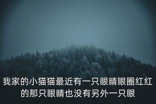 為什么不能播放郎經(jīng)財(cái)眼問(wèn)題疫苗節(jié)目，我家的小貓貓最近有一只眼睛眼圈紅紅的那只眼睛也沒(méi)有另外一只眼