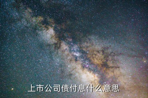 上市公司債付息什么意思