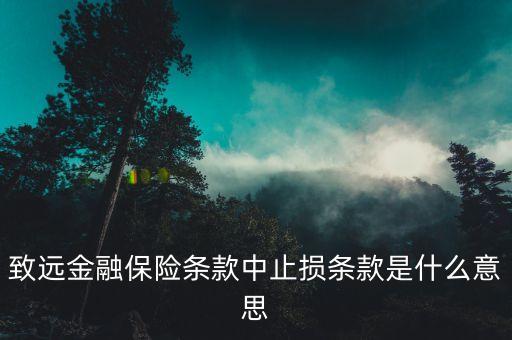 致遠(yuǎn)金融保險(xiǎn)條款中止損條款是什么意思