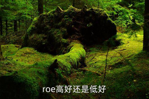 roe低說明什么，凈資產(chǎn)收益率反應(yīng)了些什么