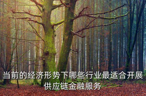 什么行業(yè)不適合產(chǎn)業(yè)鏈金融服務，產(chǎn)業(yè)鏈金融是什么