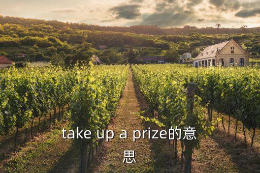 債券認(rèn)購(gòu)是什么意思，take up a prize的意思