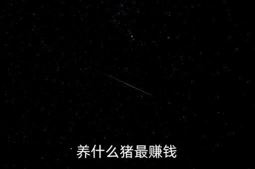 養(yǎng)什么豬最賺錢