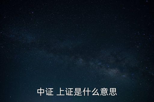 中證 上證是什么意思