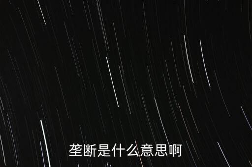 壟斷是什么意思啊