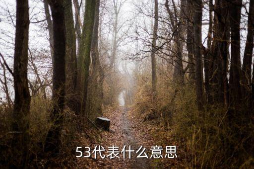 發(fā)紅包53代表什么意思，53代表什么意思