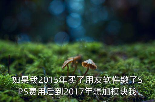 如果我2015年買了用友軟件繳了SPS費用后到2017年想加模塊我