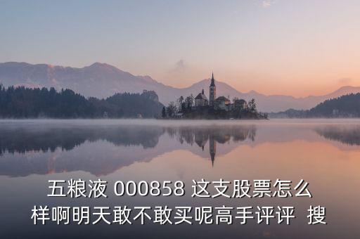 五糧液 000858 這支股票怎么樣啊明天敢不敢買(mǎi)呢高手評(píng)評(píng)  搜