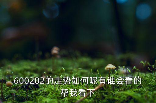 600202有什么概念，誰能幫我分析一下600202