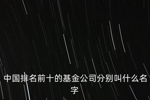 中國排名前十的基金公司分別叫什么名字