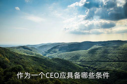 作為一個(gè)CEO應(yīng)具備哪些條件