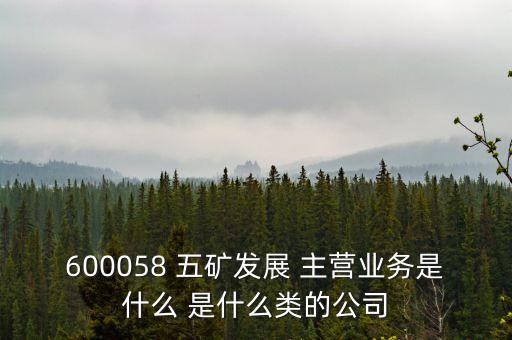 600058 五礦發(fā)展 主營(yíng)業(yè)務(wù)是什么 是什么類(lèi)的公司