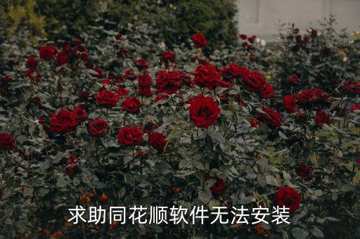 求助同花順軟件無(wú)法安裝