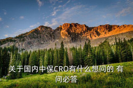 關于國內中保CRO有什么想問的 有問必答