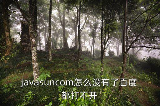 javasuncom怎么沒有了百度都打不開