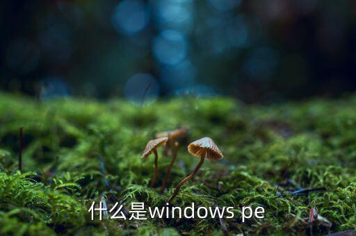 什么是windows pe