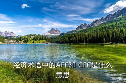 經(jīng)濟術語中的AFC和 GFC是什么意思