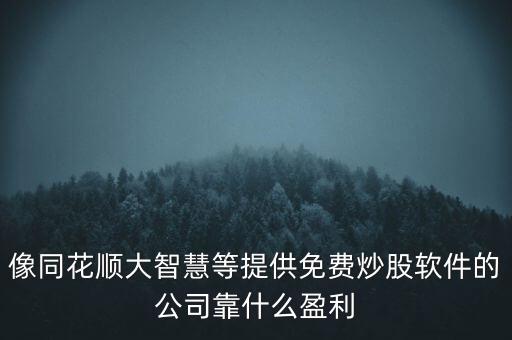 像同花順大智慧等提供免費(fèi)炒股軟件的公司靠什么盈利