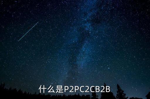 什么是P2PC2CB2B