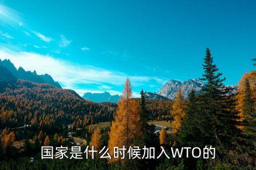 國家是什么時候加入WTO的