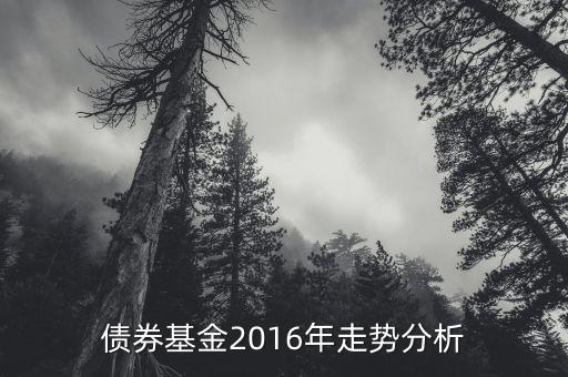 2016年的債券的投資的方向是什么，債券基金2016年走勢分析