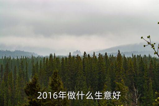 2016年做什么生意好