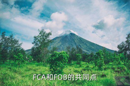 FCA和FOB的共同點