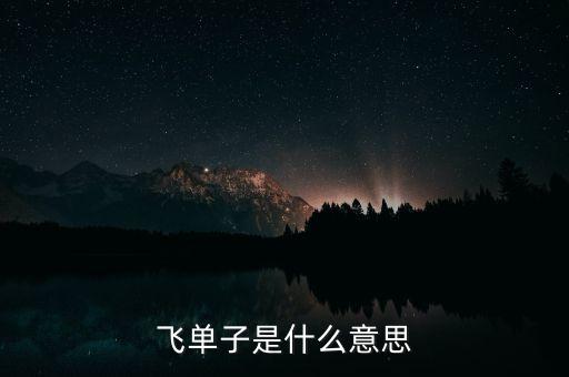 飛單子是什么意思