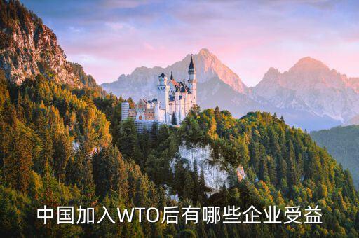 中國加入WTO后有哪些企業(yè)受益