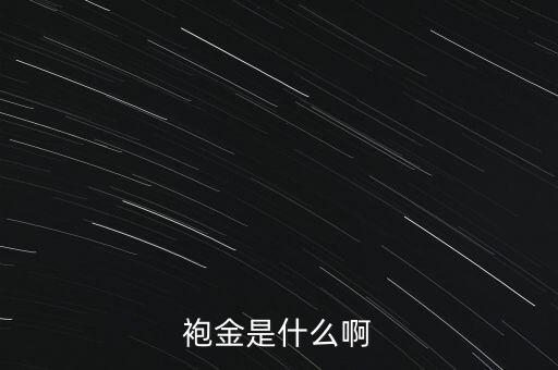 什么是董事酬金，袍金是什么啊