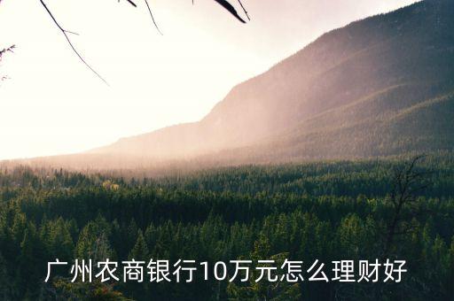 廣州農(nóng)商銀行10萬元怎么理財(cái)好