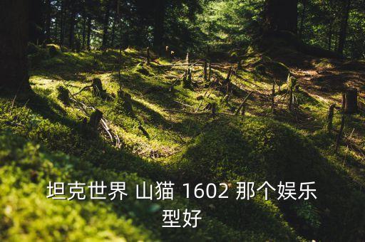 坦克世界 山貓 1602 那個(gè)娛樂型好