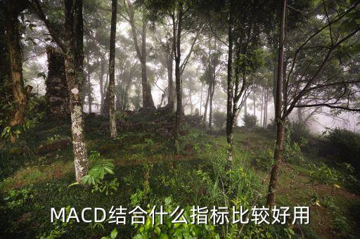 MACD結(jié)合什么指標(biāo)比較好用