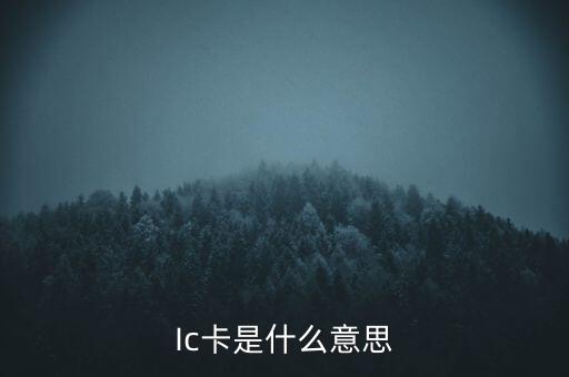 Ic卡是什么意思