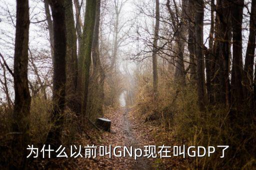 什么時候gnp大于gdp，預測我國未來10年GDP和GNP的大小關(guān)系