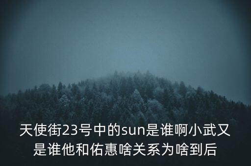 天使街23號中的sun是誰啊小武又是誰他和佑惠啥關(guān)系為啥到后